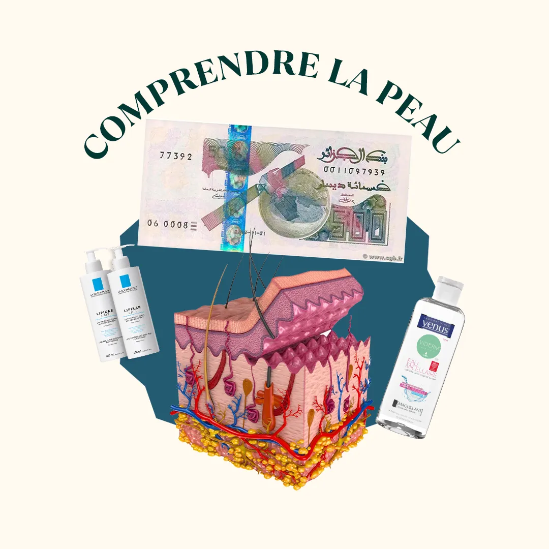 المحور 1: Comprendre la Peau (من دورة Devenir dermoconseiller )
